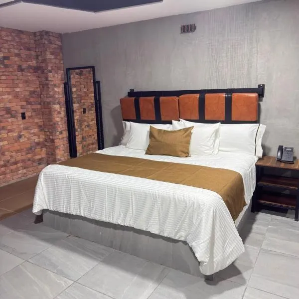 Hotel Van Gogh Aeropuerto Gdl,位于瓜达拉哈拉的酒店