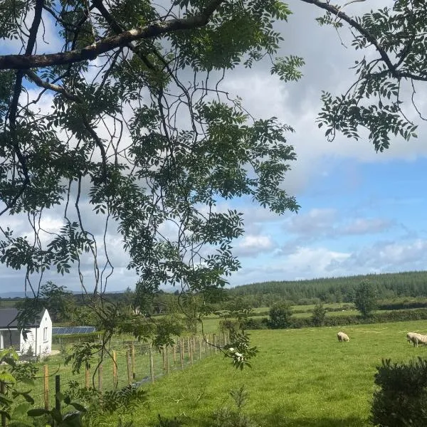 The Woodland Retreat Derry Londonderry，位于Baranailt的酒店