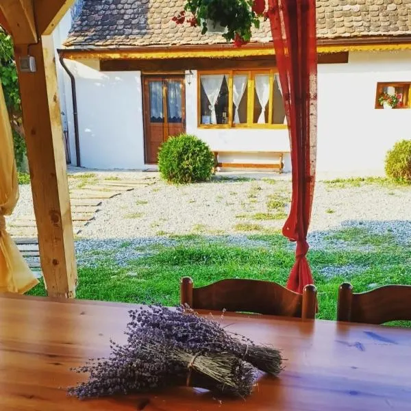 Chalet Giuel，位于Bărcuţ的酒店