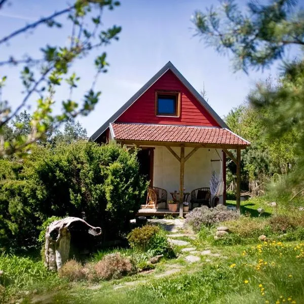 Przytulny domek wśród zieleni w Górach Kaczawskich，位于Wojcieszów的酒店
