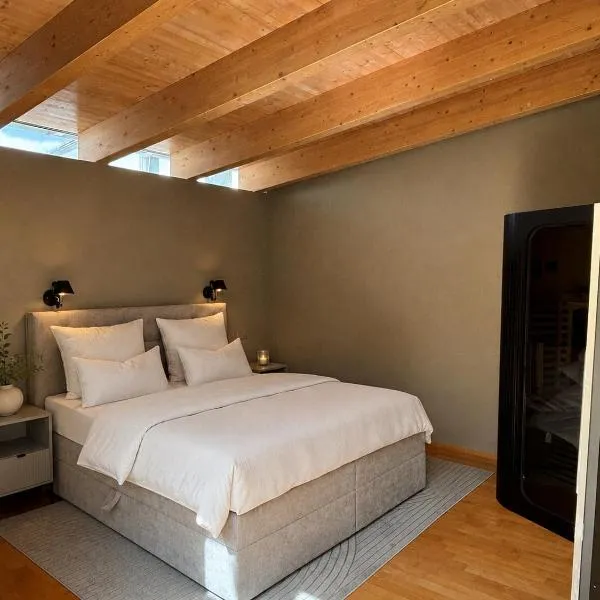 PaderCityLoft- lichtdurchflutet und privat mit Kamin-Dachterrasse-Sauna-Außendusche im Atrium，位于帕德博恩的酒店