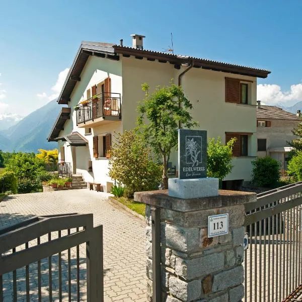 Edelweiss - Casa vacanze tra le vette valtellinesi，位于松德里奥的酒店