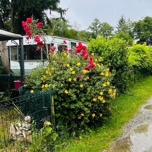 Caravane en pleine nature ferme proche de tout，位于菲利普维尔的酒店