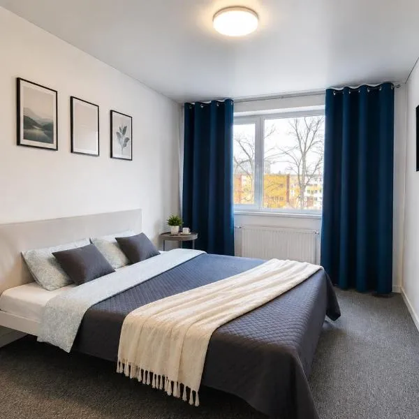 Kivi Apartments，位于约赫维的酒店