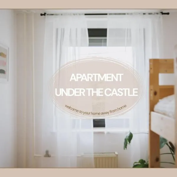 Apartment Under the Castle，位于Radlje ob Dravi的酒店