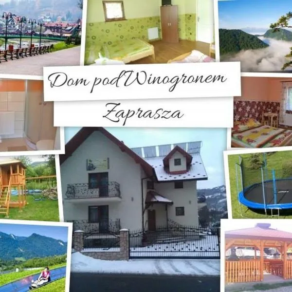 Dom pod Winogronem，位于什恰夫尼察的酒店
