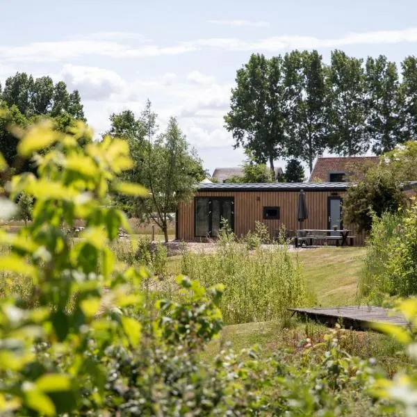 De Eend - Tiny house in de Zeeuwse Natuur，位于Driewegen的酒店