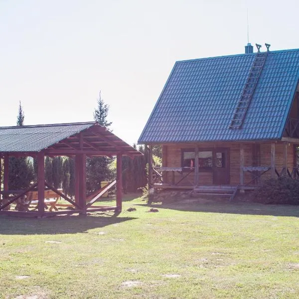 Pas Kaziuką namukas，位于Rėkučiai的酒店