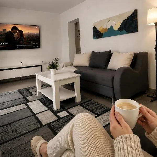 Danube Apartments，位于Moldova Nouă的酒店