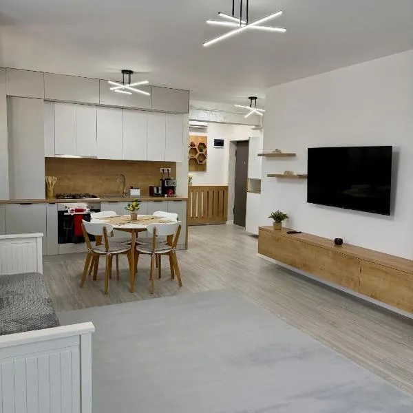 ND Central Apartment，位于拉姆尼库沃尔恰的酒店