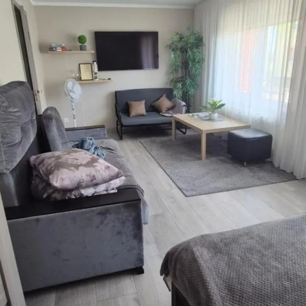 Jaudas Apartment，位于马多纳的酒店