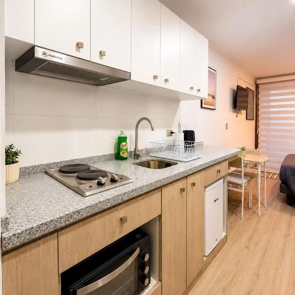 Departamento centro de Concepción - Chacabuco 140，位于康塞普西翁的酒店