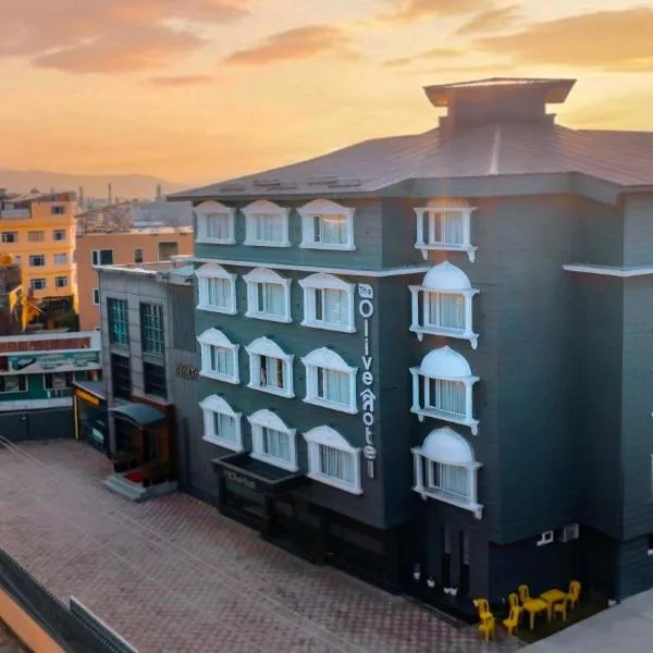 The Olive Hotel Srinagar，位于斯利那加的酒店