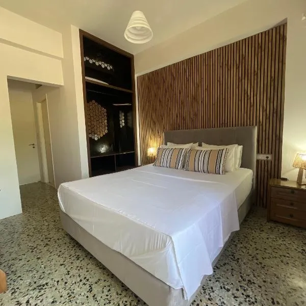Nikos Studios Apts & Suites，位于凯里翁的酒店