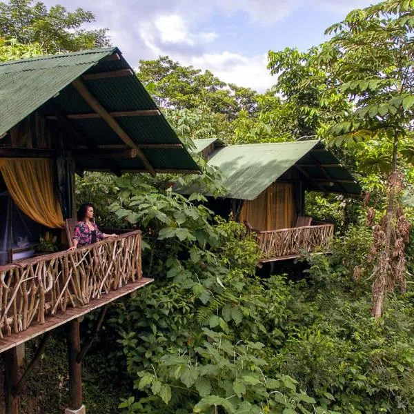 La Tigra Rainforest Lodge，位于Tigra的酒店