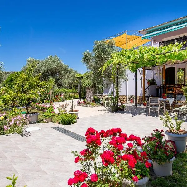 Studios Panagiotas House Astris，位于阿斯特里斯的酒店