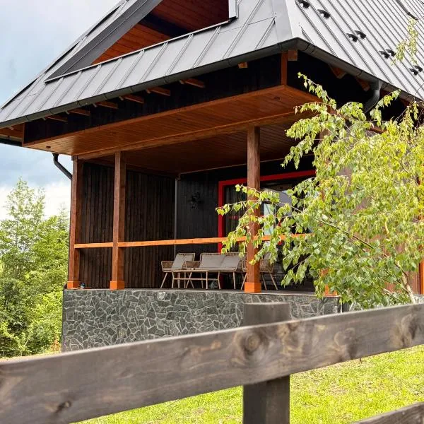 Casa Aproape de Stele din Beliș, Apuseni，位于Finciu的酒店
