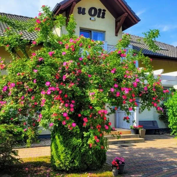 Pokoje Gościnne u Oli，位于维塞乌卡的酒店