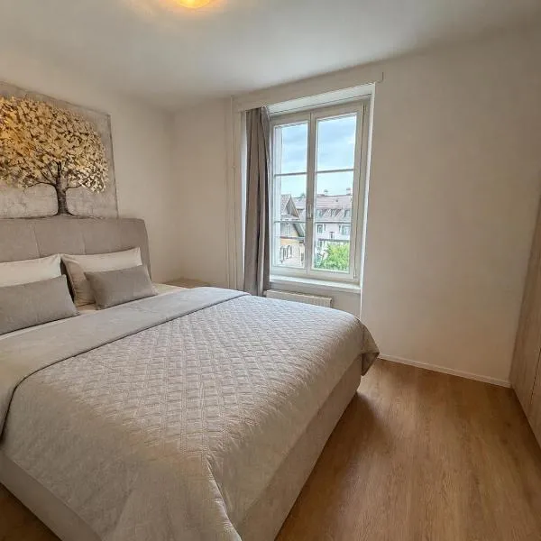 Cozy 2 Room Apartment 5 Min to Lucerne City，位于卢塞恩的酒店