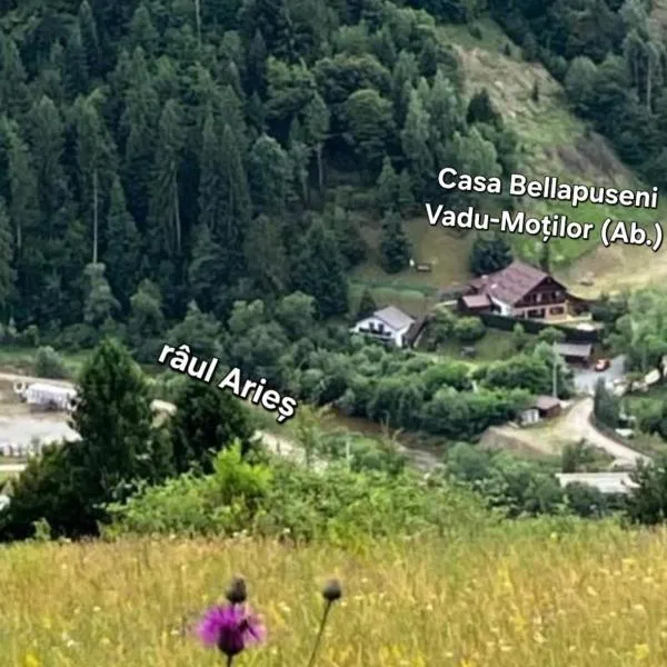 Casa Bella，位于Vadu Moţilor的酒店