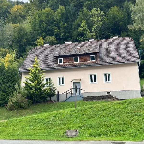 Haus Vranjes,位于Rosenau am Hengstpass的酒店