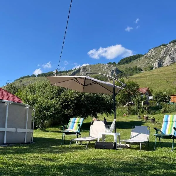 Cabin with Panoramic View of the Vălișoara Gorge，位于Vălişoara的酒店