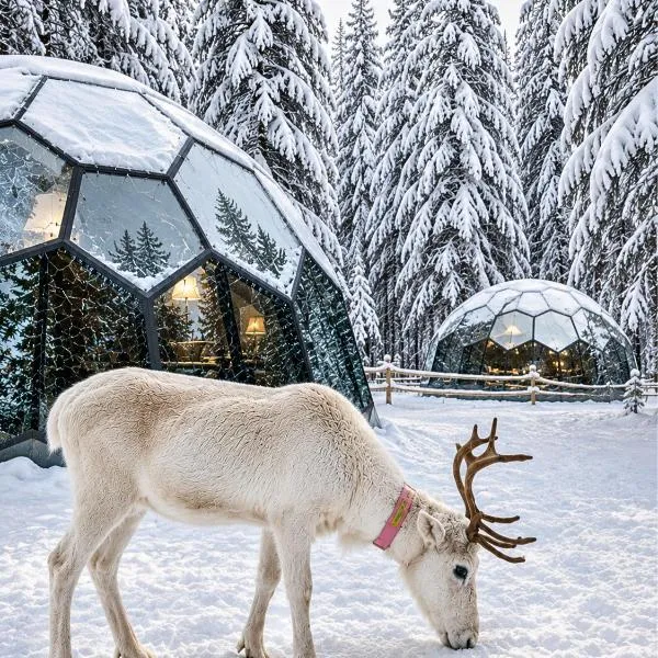 SKOG Aurora Glass Igloos，位于卡利克斯的酒店