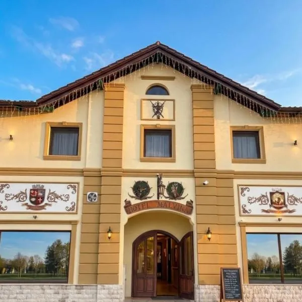 Hotel Malvina，位于Sînnicolau Mare的酒店
