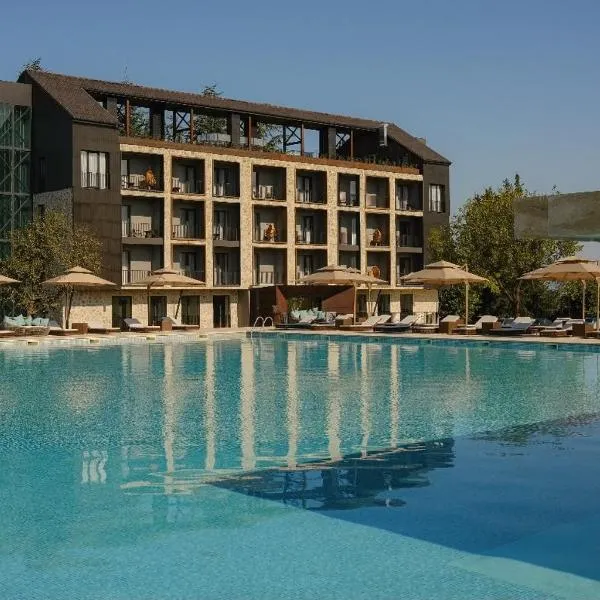 Hotel Meteo Kakheti，位于泰拉维的酒店