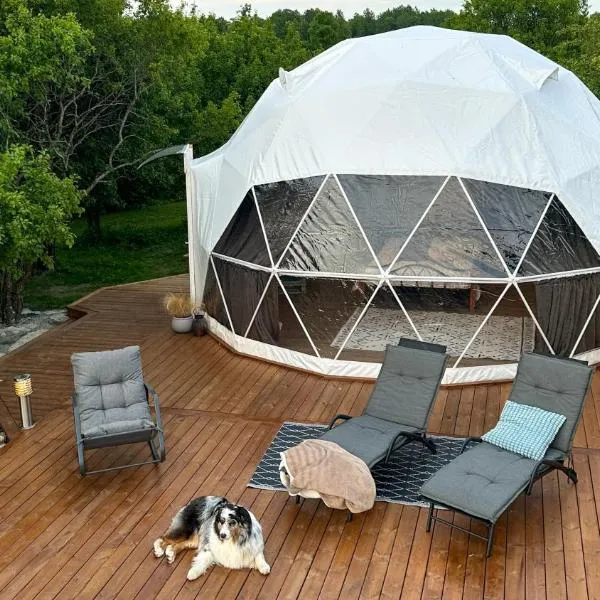 Saare Glamping Dome House，位于Salme的酒店