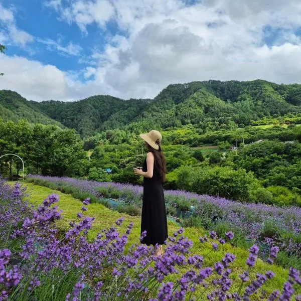 yangwon lavender 양원라벤더 금강송숲길 협곡열차，位于Wŏn'gok的酒店