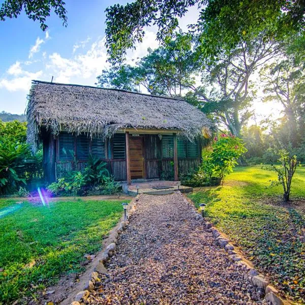博卡维纳雨林度假村，位于丹格里加的酒店