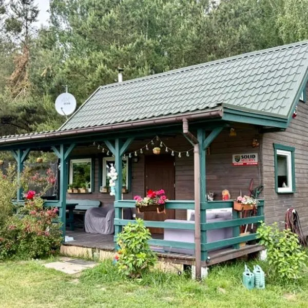 Domek bez adresu- tu nikt Cię nie znajdzie，位于奥尔什蒂内克的酒店