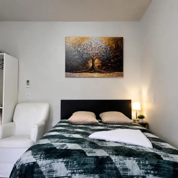 Hotel Três Passos - Prox ao Aeroporto e Rodoviária，位于阿雷格里港的酒店
