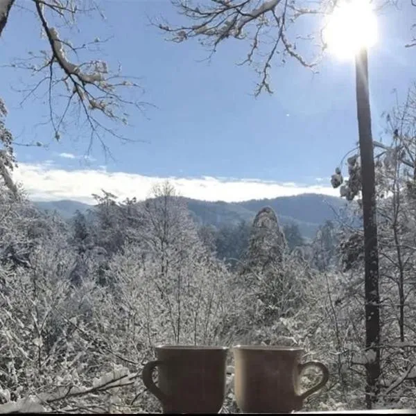 Pet-Friendly Mountain Heaven - Hot Tub and Fire Pit，位于蓝岭的酒店