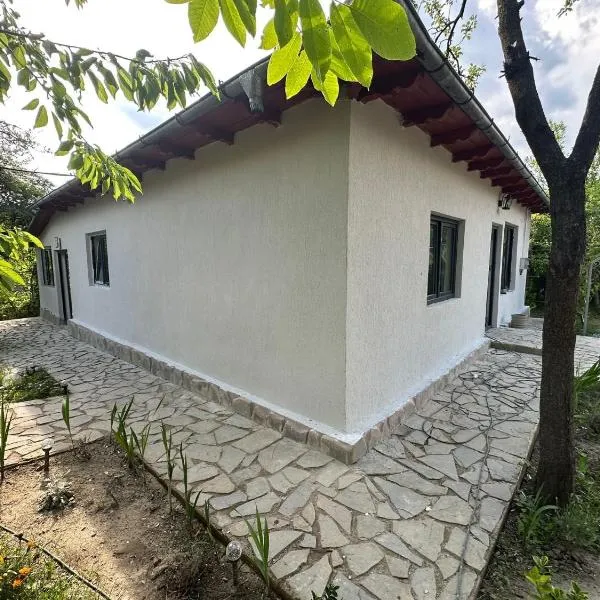 Acasa la Coana Mare，位于Bălăneşti的酒店