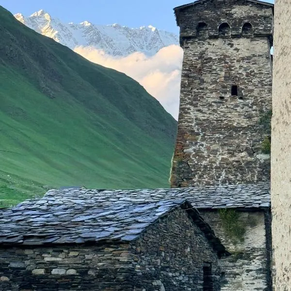 Nizharadze's Tower，位于乌树故里的酒店