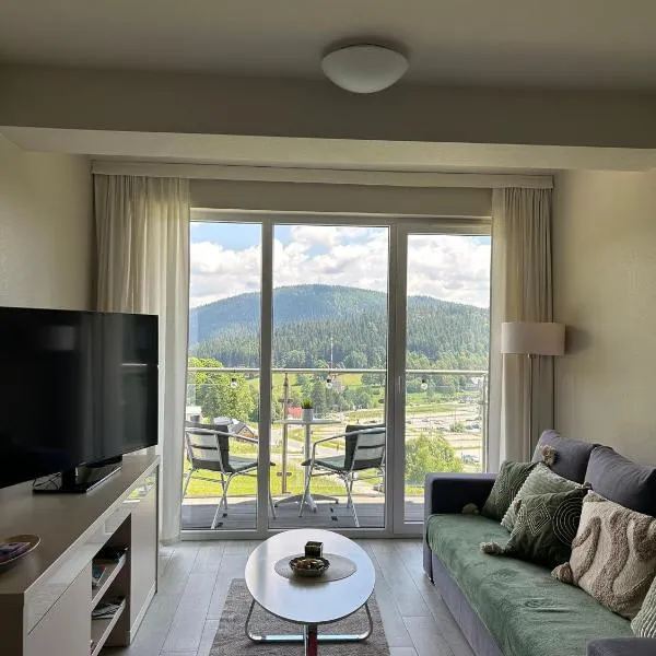 Apartament z widokiem na góry- CZARNA GÓRA-SIENNA,位于西恩纳的酒店