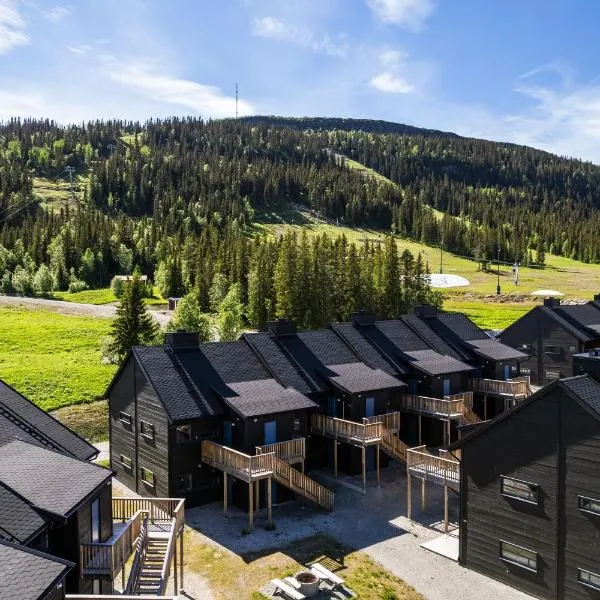 Funäs Fjällby - Kåvan Funäsdalen，位于菲奈斯达伦的酒店