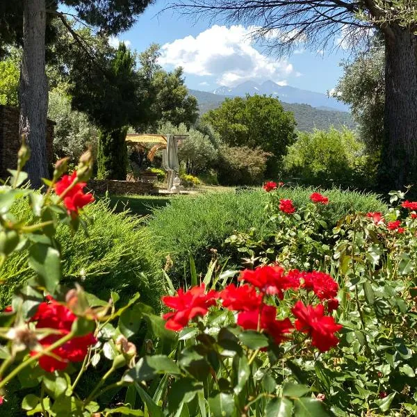 "MAS TRAMONTANE" Maison et Chambres d'hôtes avec vue sur le massif d'El Canigó,位于泰河畔伊尔的酒店