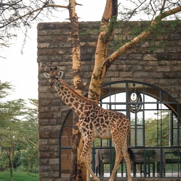 Giraffe Manor Tanzania，位于Usa的酒店