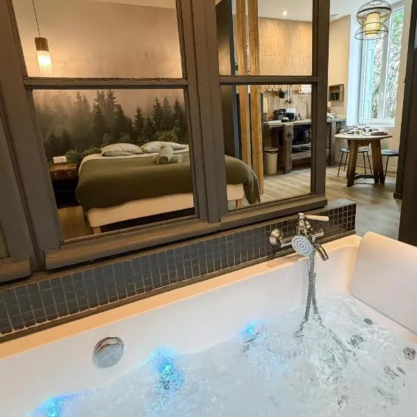 Craft Home - Le menuisier - Balneo - Parking privé，位于圣艾蒂安的酒店