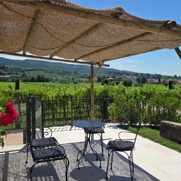 Agriturismo Igino - Camere fra Vigneti della Valpolicella，位于内格拉尔的酒店