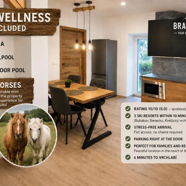 Apartmány Branná hodnocení 10 Wellness Vleky 5 min，位于Horní Branná的酒店