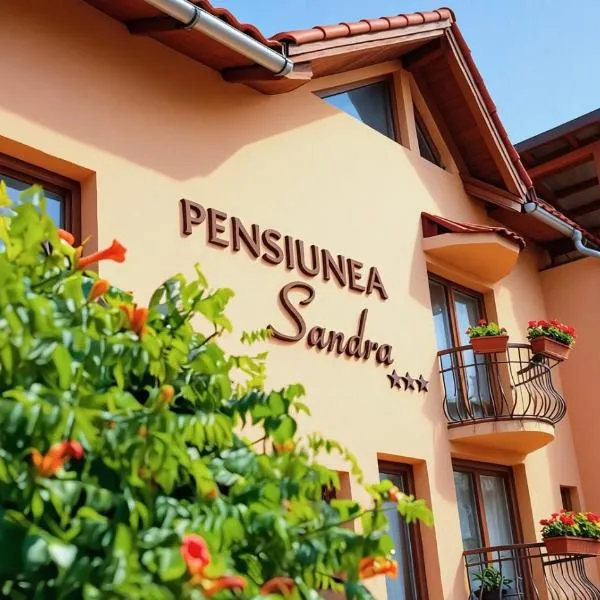 Pensiunea Sandra，位于舒加塔格盐矿镇的酒店