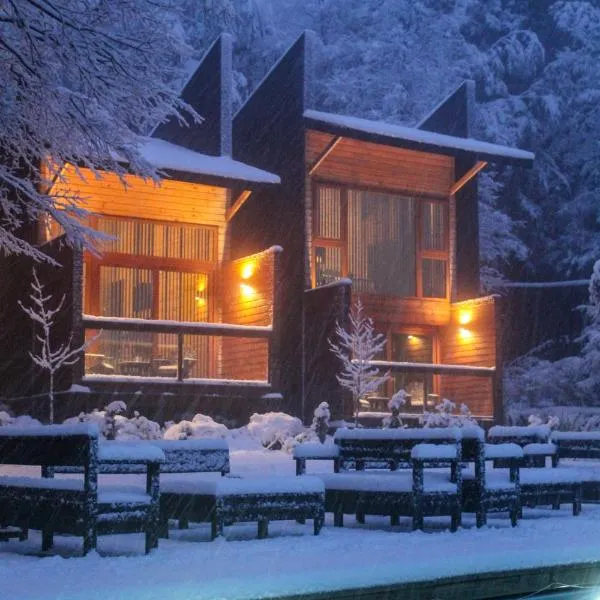Ni-Newen Hotel & Lodge，位于普孔的酒店
