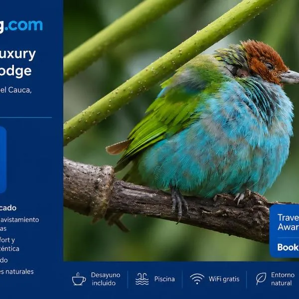Natural Luxury Birding Lodge - Premium Birdwatching near Cali，位于Dagua的酒店