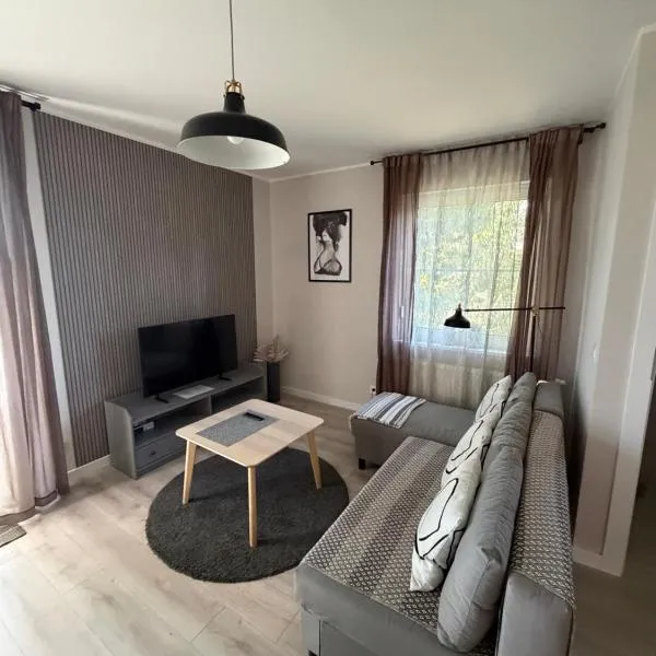 Apartament 9 Rydzyna，位于Rydzyna的酒店
