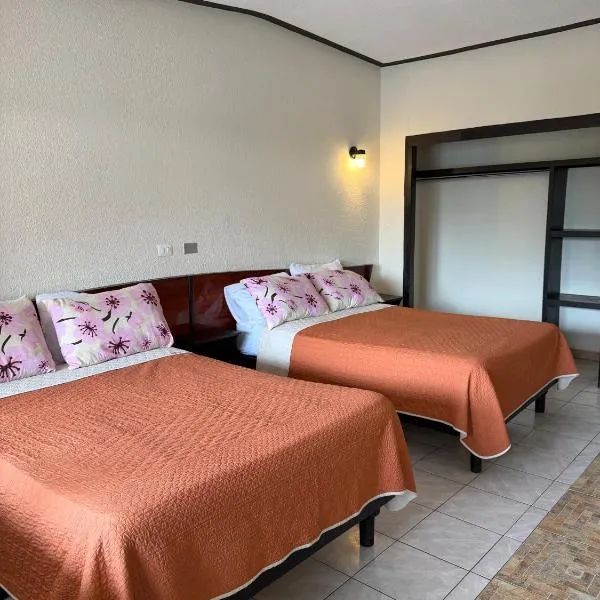 Hotel Virrey,位于雷诺萨的酒店