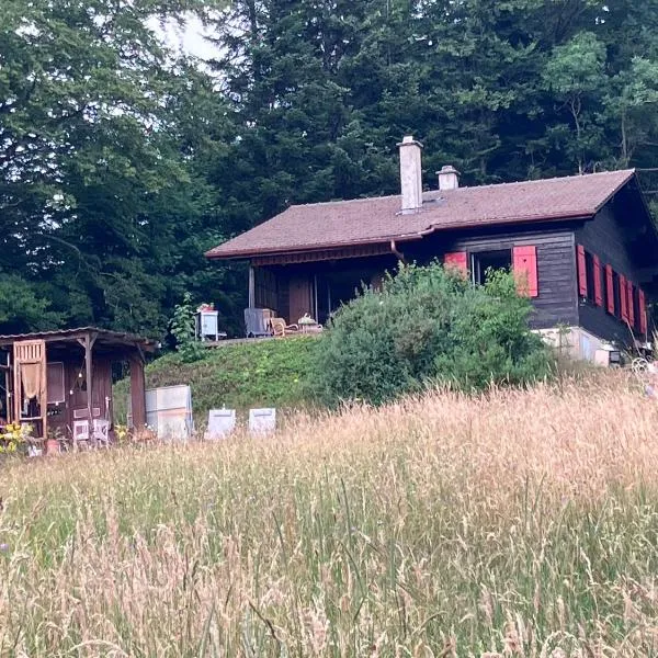 un ptit chalet，位于莱斯布里内特的酒店